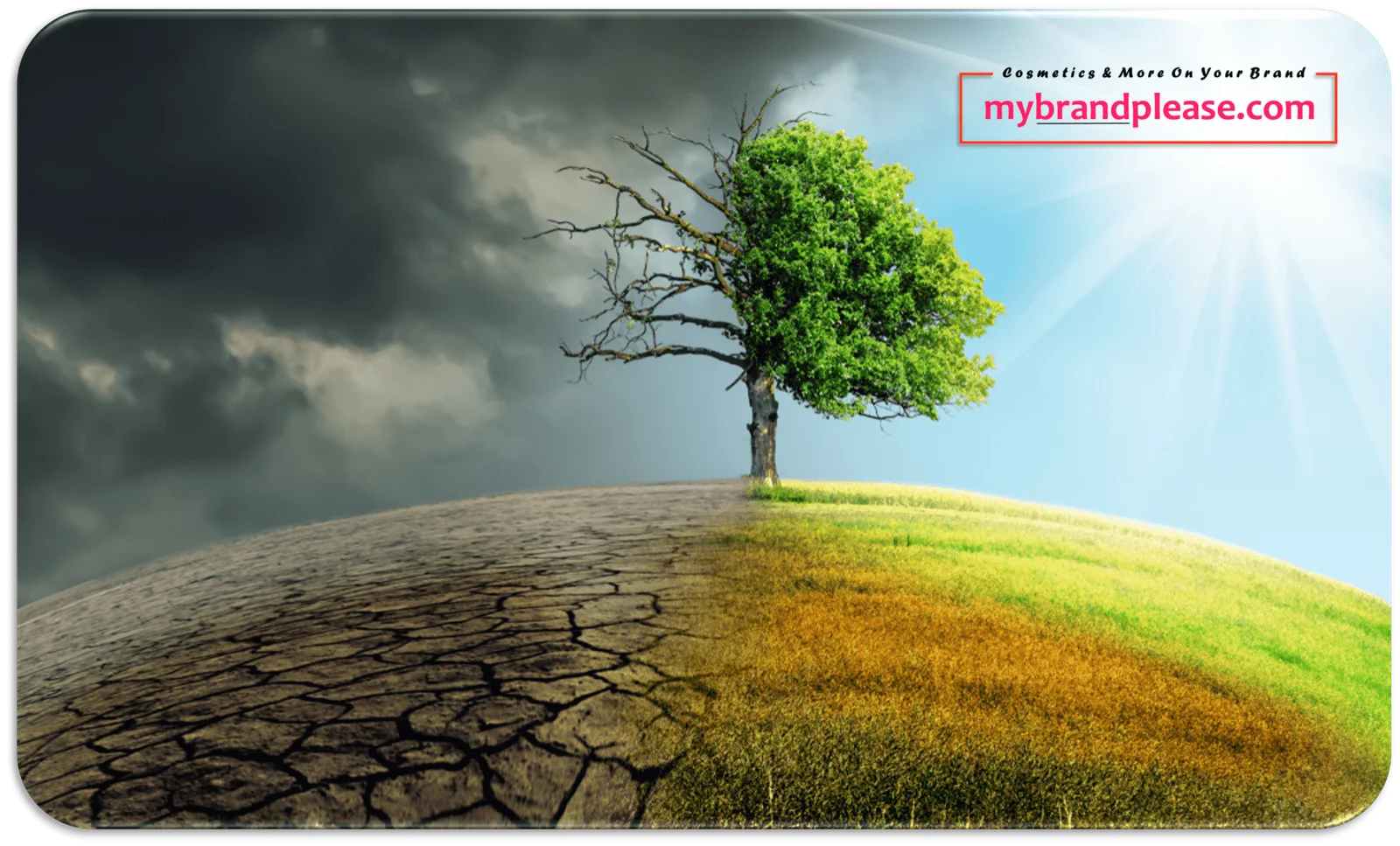 Environmental Defense