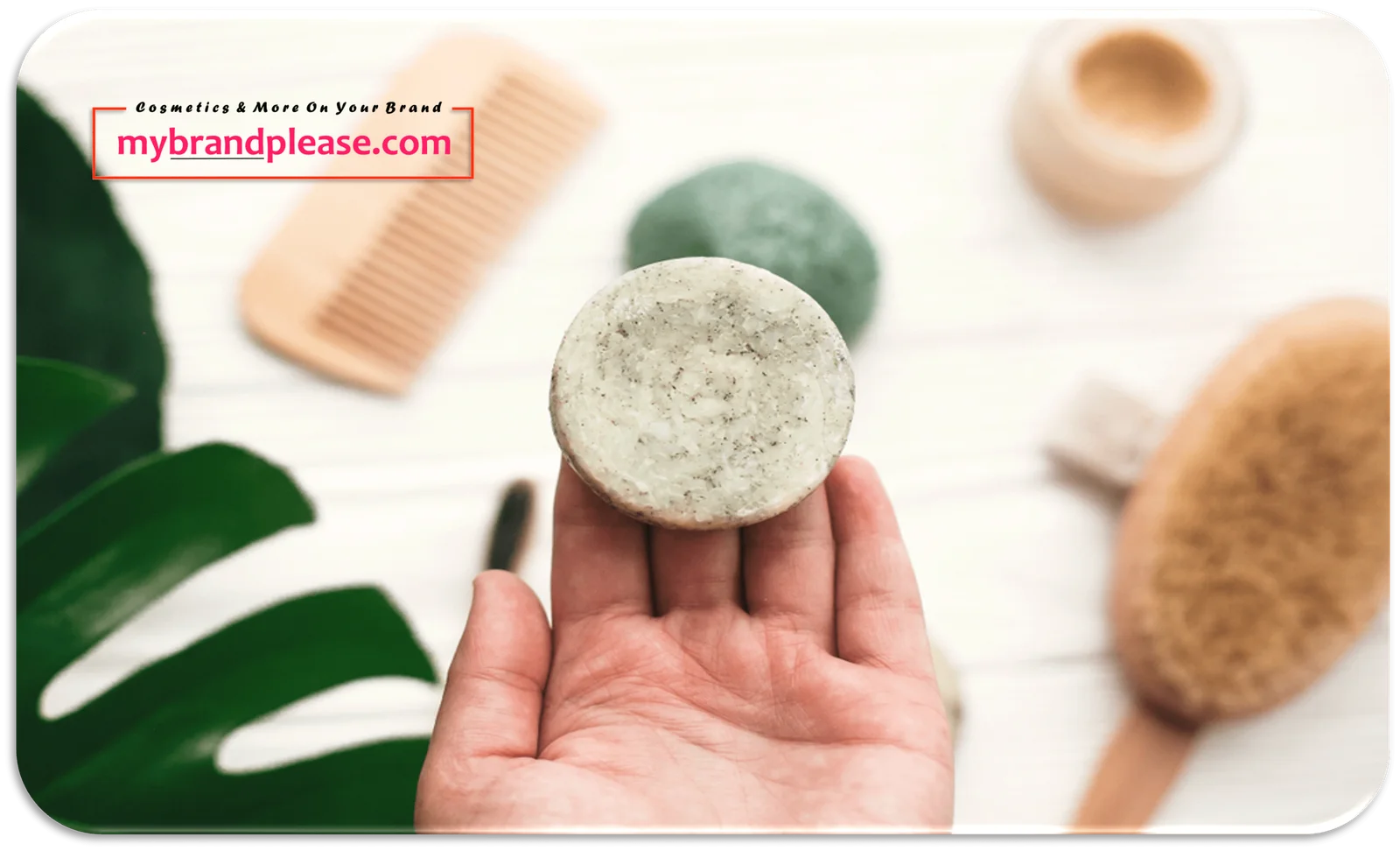 Shampoo & Conditioner Bars