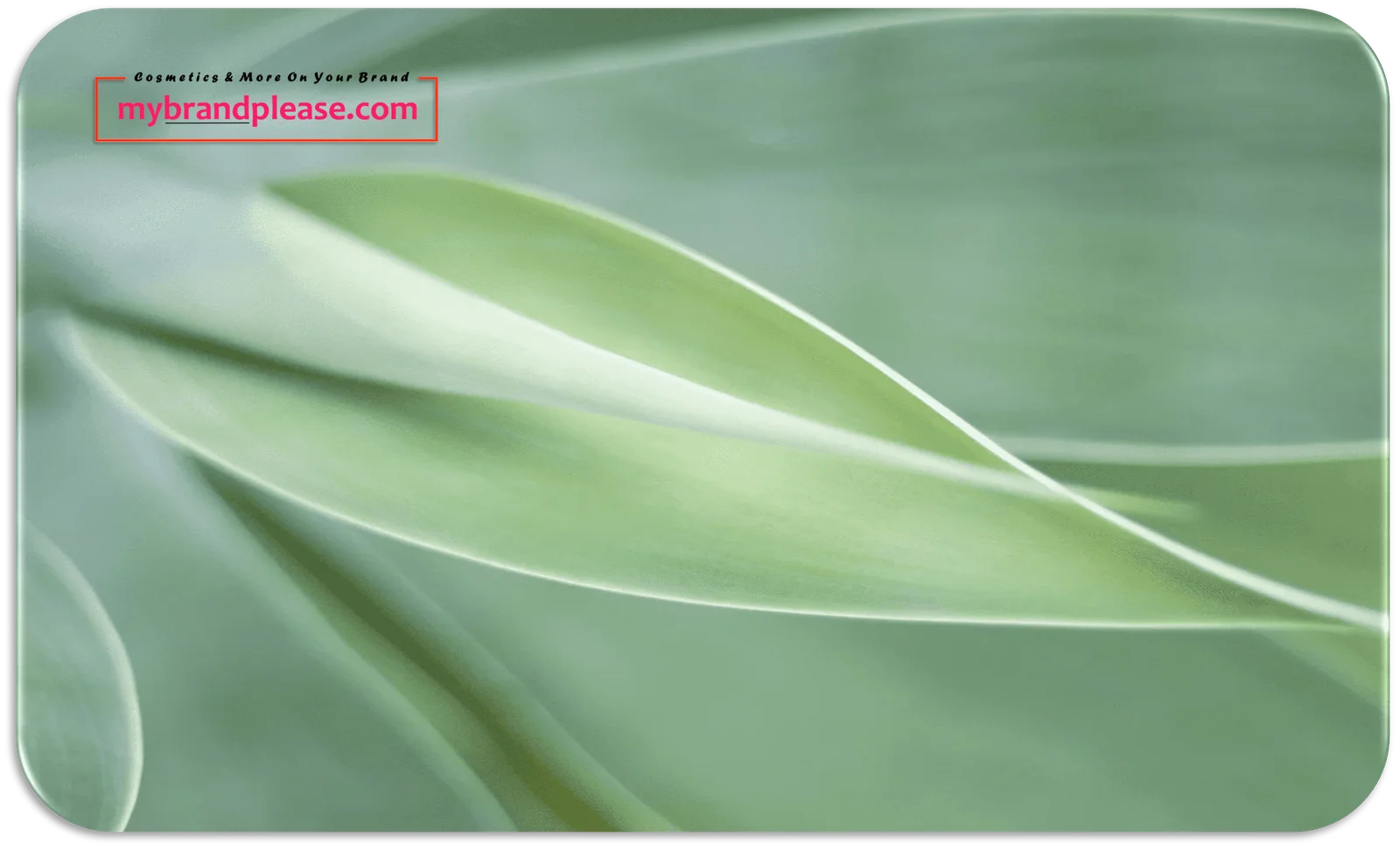 Botanical Skin Care