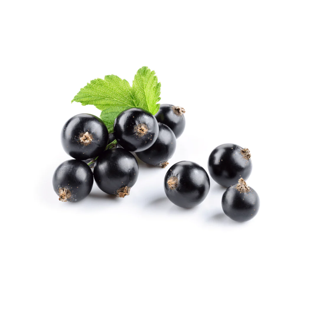Meadowfoam and Black Currant Weightless Body Oil