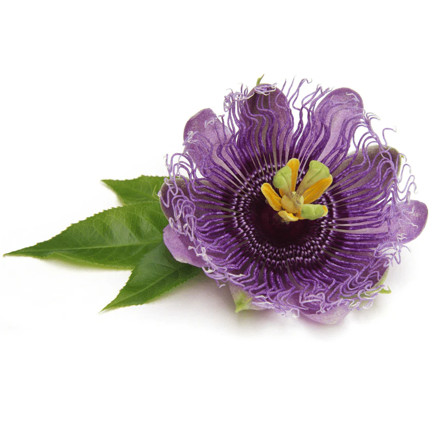 Tropical Moisture Treatment Creme